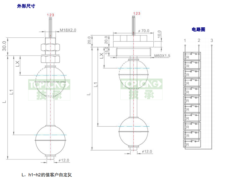 2260型直桿式液位計(jì)(開(kāi)關(guān))